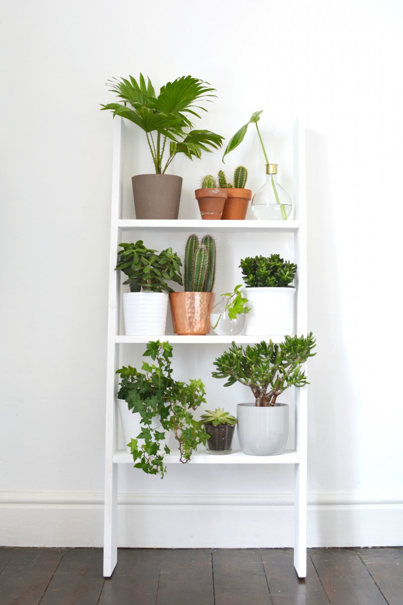 home 4 ideas for decorating with plants burkatron Bloglovin’